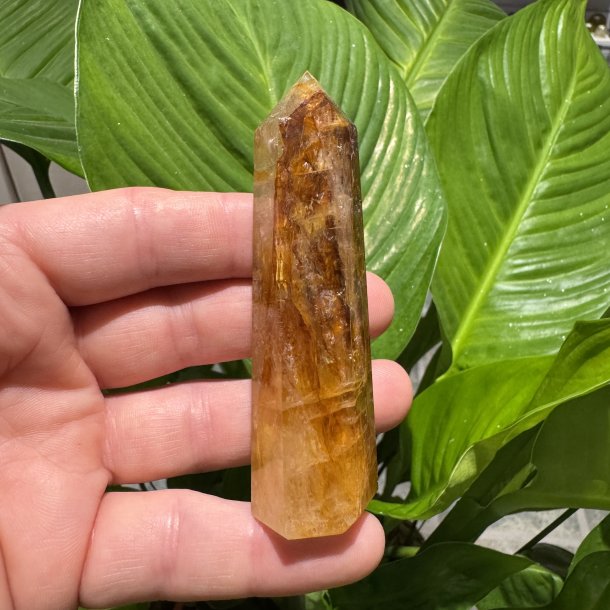 Golden healer t�rn 91 mm