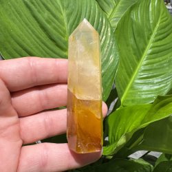 Golden healer t�rn 93 mm