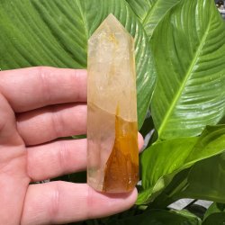 Golden healer t�rn 93 mm