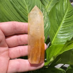 Golden healer t�rn 93 mm