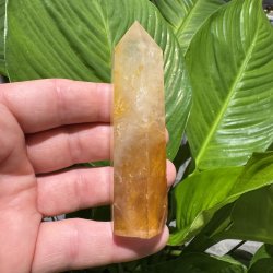 Golden healer t�rn 93 mm