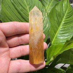 Golden healer t�rn 93 mm