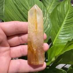 Golden healer t�rn 93 mm