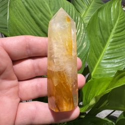 Golden healer t�rn 93 mm