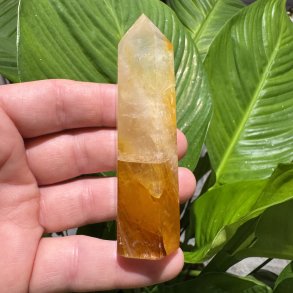 Golden healer t�rn 93 mm