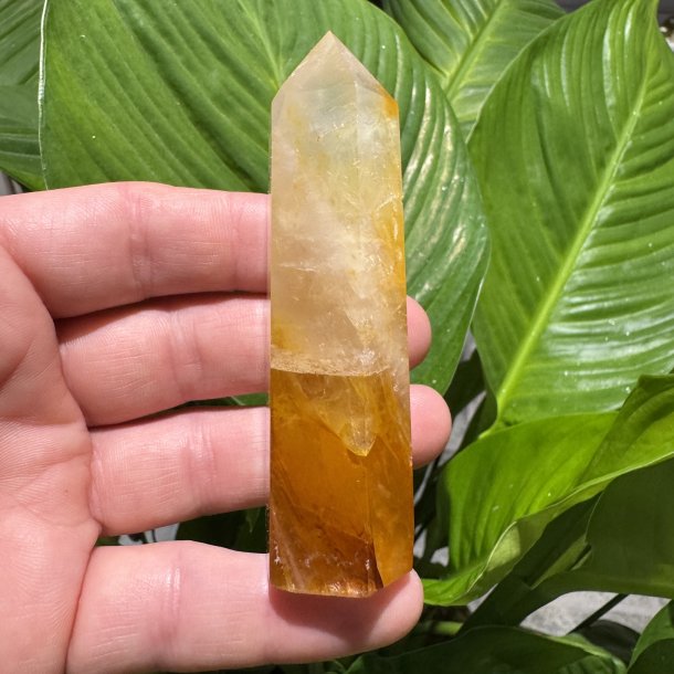 Golden healer t�rn 93 mm