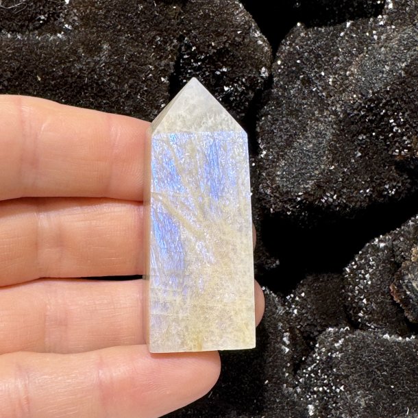 Regnbue mnesten trn 57mm