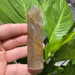 Golden healer t�rn 100 mm