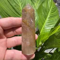 Golden healer t�rn 100 mm