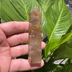 Golden healer t�rn 100 mm