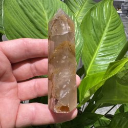 Golden healer t�rn 100 mm