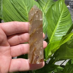 Golden healer t�rn 100 mm