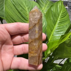 Golden healer t�rn 100 mm