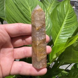 Golden healer t�rn 100 mm