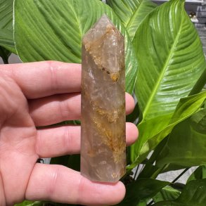 Golden healer t�rn 100 mm