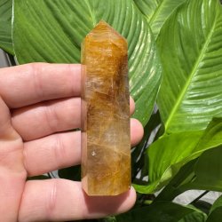 Golden healer t�rn 89 mm