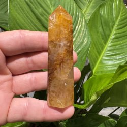 Golden healer t�rn 89 mm
