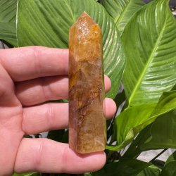 Golden healer t�rn 89 mm