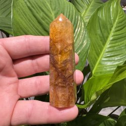 Golden healer t�rn 89 mm