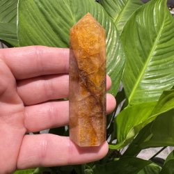 Golden healer t�rn 89 mm