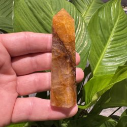 Golden healer t�rn 89 mm