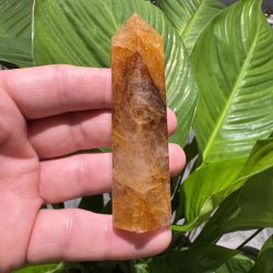 Golden healer t�rn 89 mm