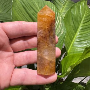 Golden healer t�rn 89 mm