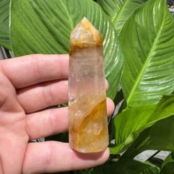 Golden healer t�rn 92 mm