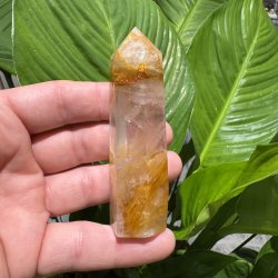 Golden healer t�rn 92 mm