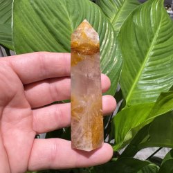 Golden healer t�rn 92 mm
