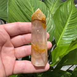 Golden healer t�rn 92 mm