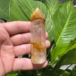 Golden healer t�rn 92 mm