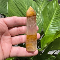 Golden healer t�rn 92 mm