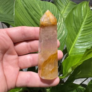 Golden healer t�rn 92 mm