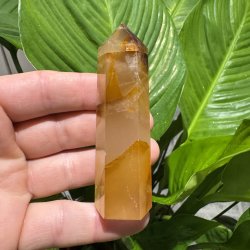 Golden healer t�rn 87 mm