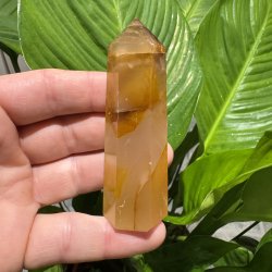 Golden healer t�rn 87 mm