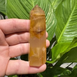 Golden healer t�rn 87 mm
