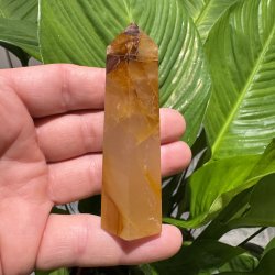 Golden healer t�rn 87 mm