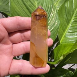 Golden healer t�rn 87 mm