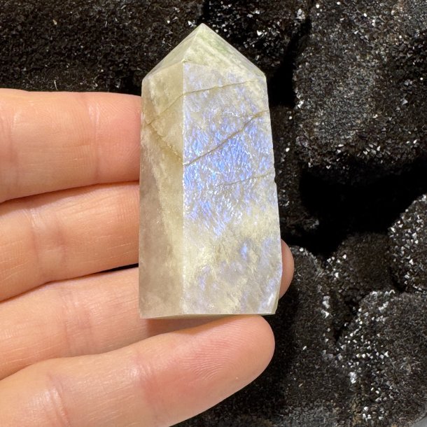 Regnbue m�nesten t�rn 60mm