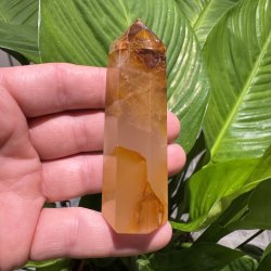 Golden healer t�rn 87 mm