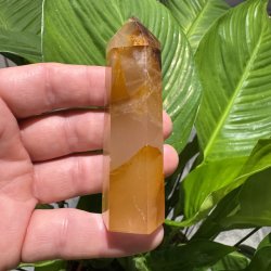 Golden healer t�rn 87 mm