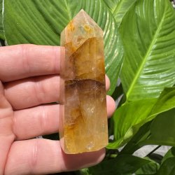 Golden healer t�rn 82 mm