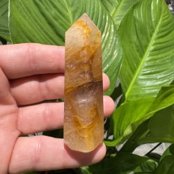 Golden healer t�rn 82 mm