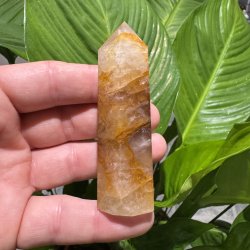 Golden healer t�rn 82 mm