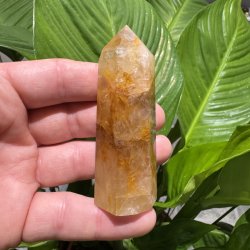 Golden healer t�rn 82 mm