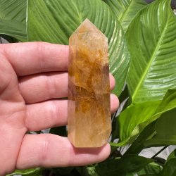 Golden healer t�rn 82 mm