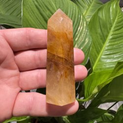 Golden healer t�rn 82 mm