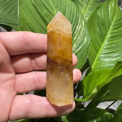 Golden healer t�rn 82 mm