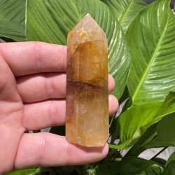 Golden healer t�rn 82 mm